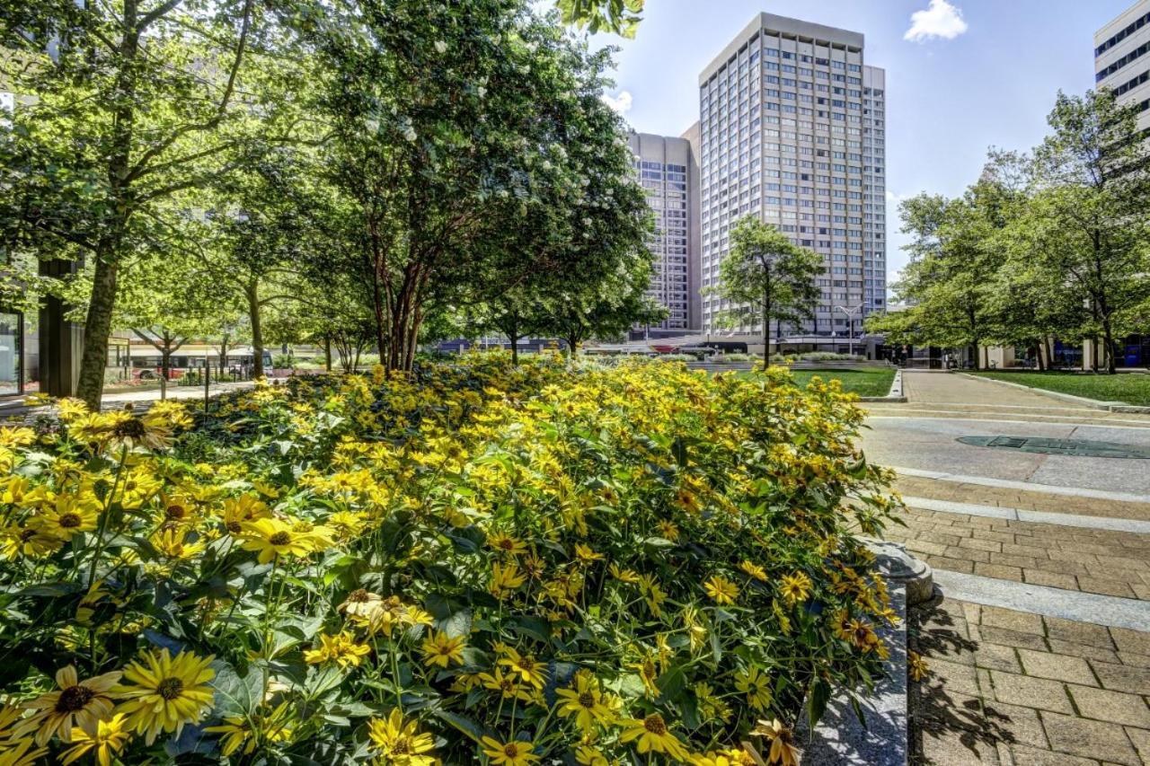 Chase Penthouse: Harbor View With Free Parking Apartment