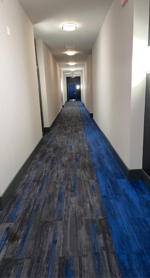 Apartment Lux House Of Champagne 2br 2ba Free Parking & Wifi Baltimore
