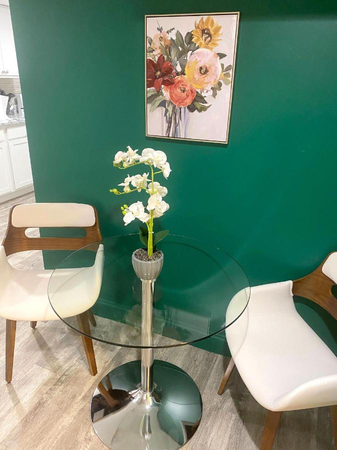 Cozy And Modern 1br With Wifi And Dogs Welcome Baltimore