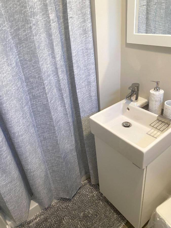 Cozy And Modern 1br With Wifi And Dogs Welcome Apartment