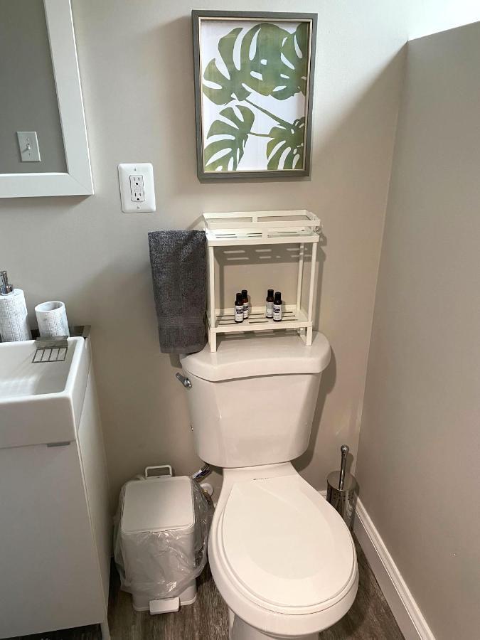 Cozy And Modern 1br With Wifi And Dogs Welcome Apartment *
