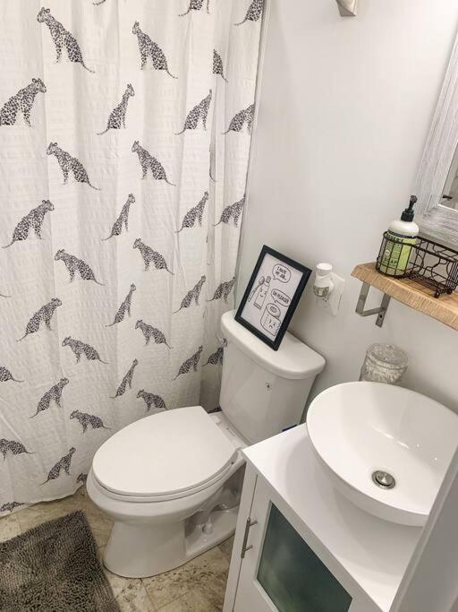 Apartment Cozy Modern In The Heart Of Fells Point!